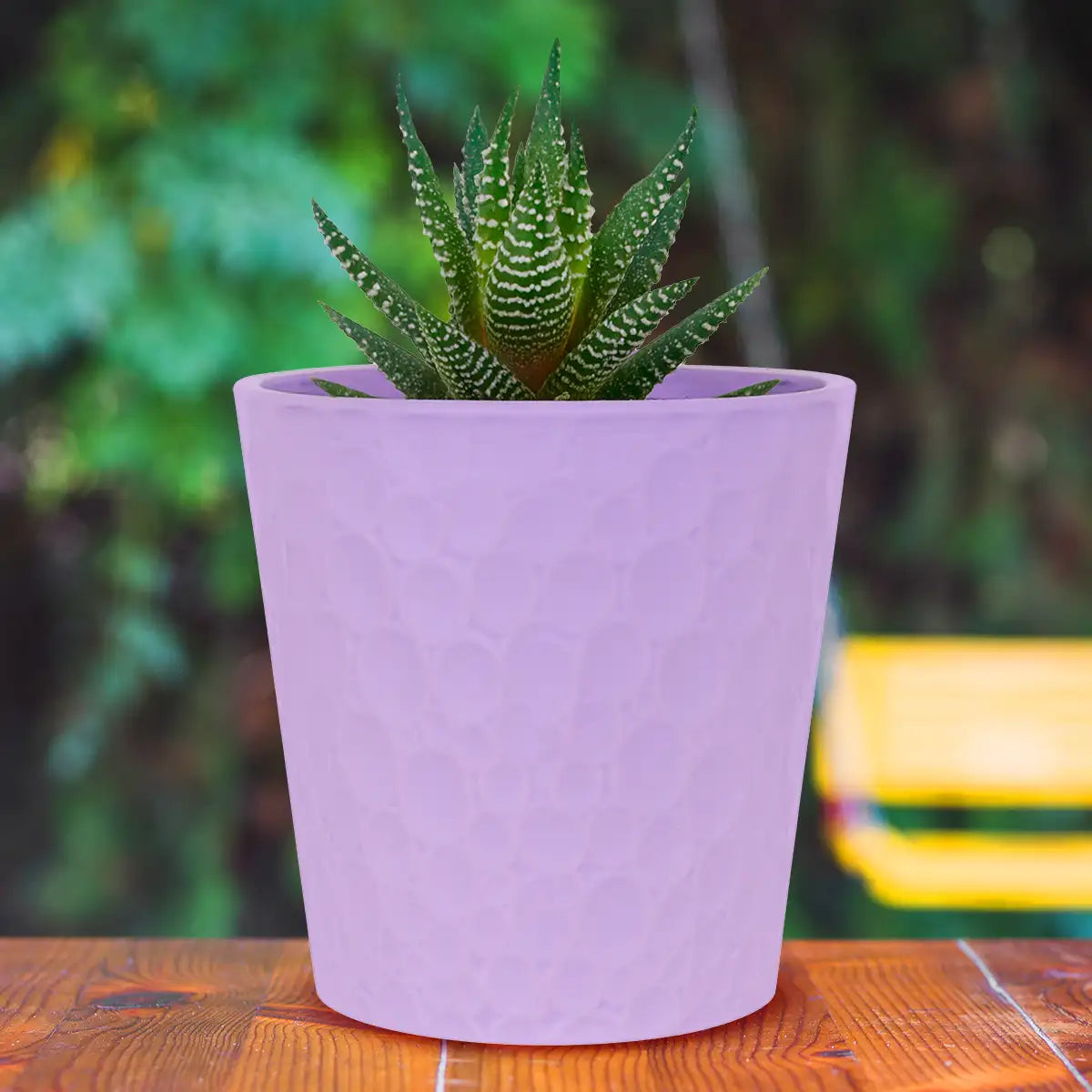 Maceta Textura Círculos, Color Morado, 13x12 cm