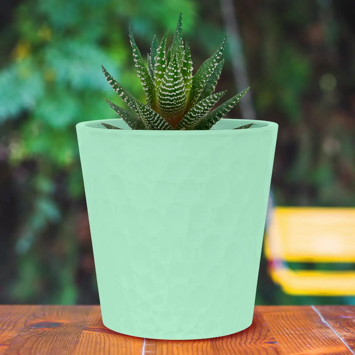 Maceta Textura Círculos, Color Verde, 13x12 cm