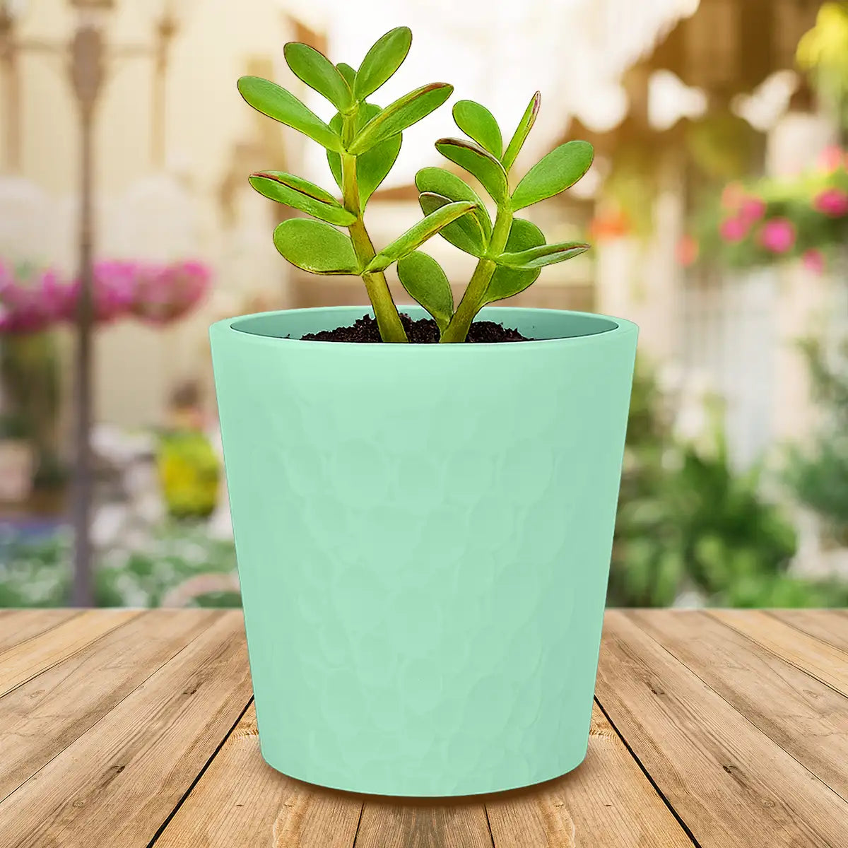 Maceta Textura Círculos, Color Verde, 13x12 cm