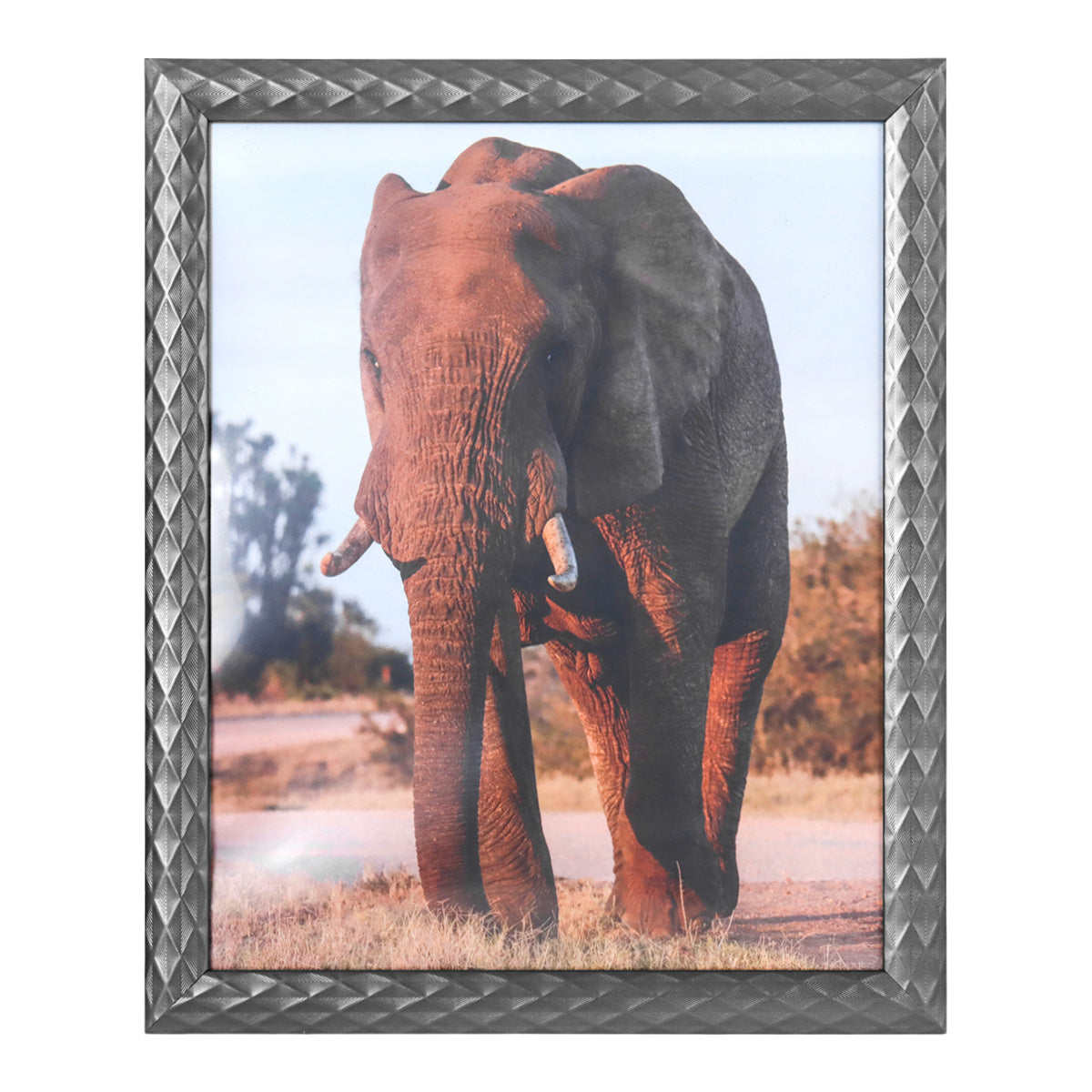 Portarretratos Elefante, 20x25cm