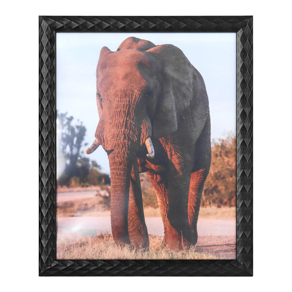 Portarretratos Elefante, Color Negro, 20x25cm