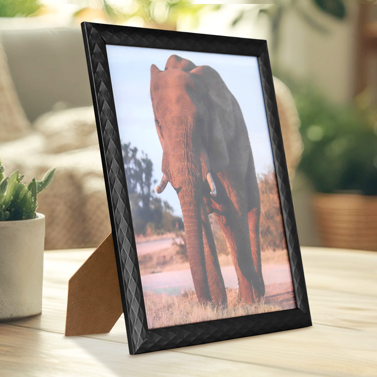 Portarretratos Elefante, Color Negro, 20x25cm