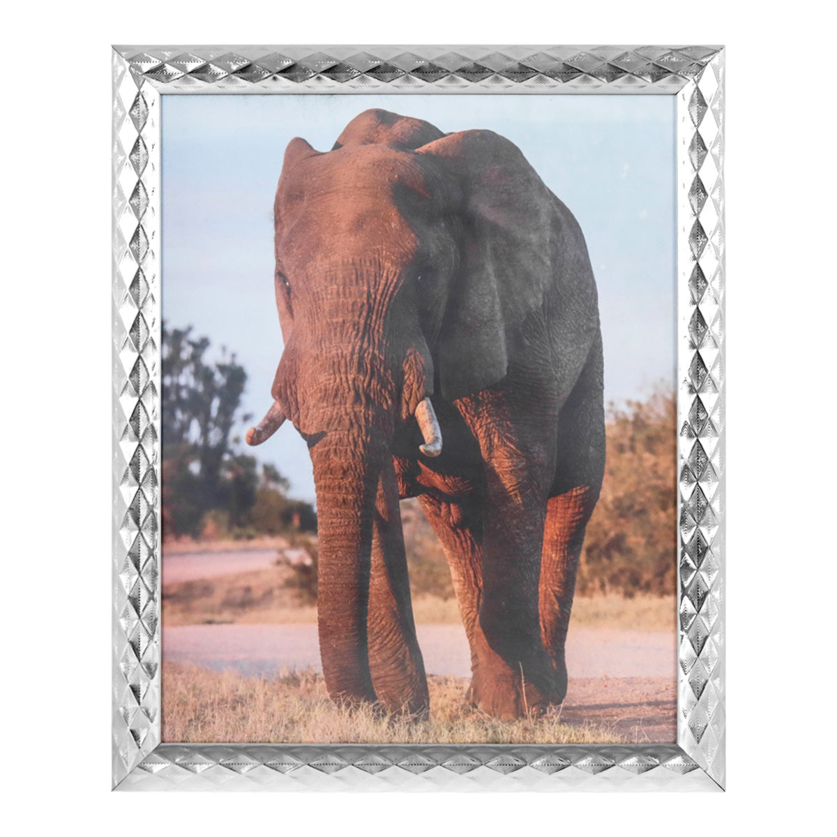 Portarretratos Elefante, Color Plata, 20x25cm