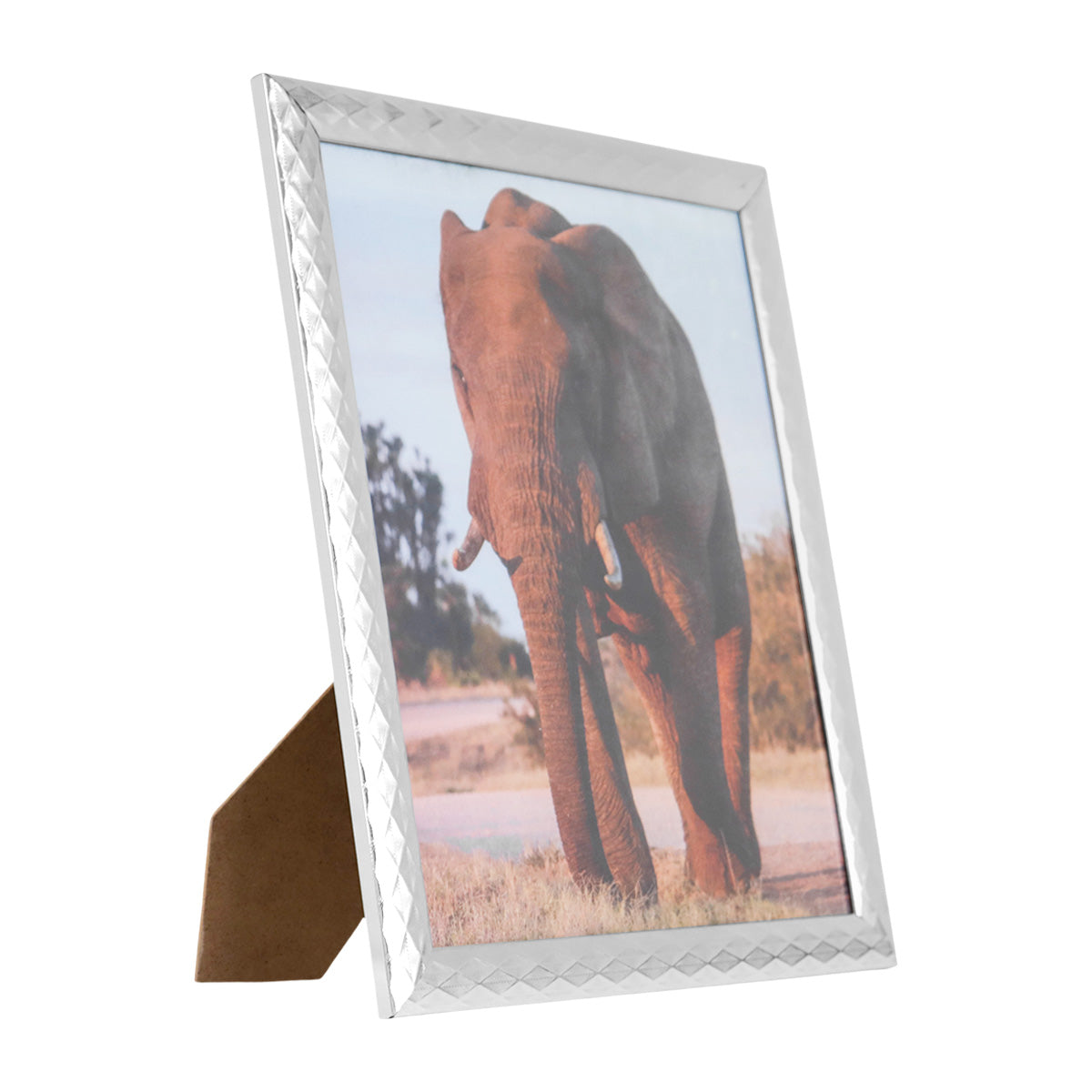 Portarretratos Elefante, Color Plata, 20x25cm