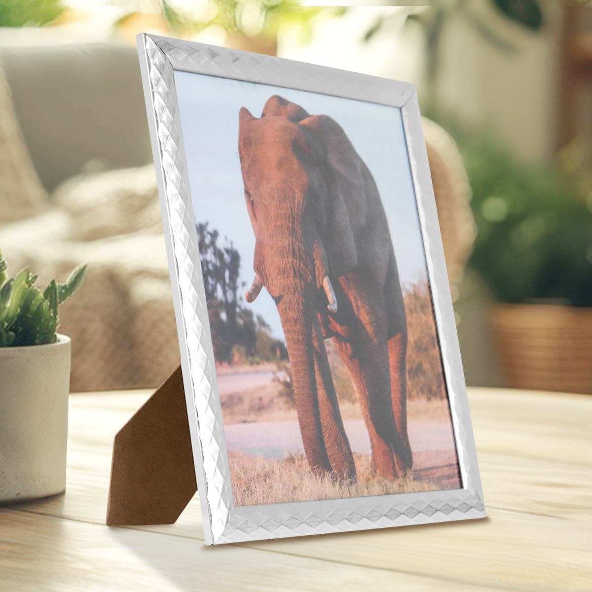 Portarretratos Elefante, Color Plata, 20x25cm