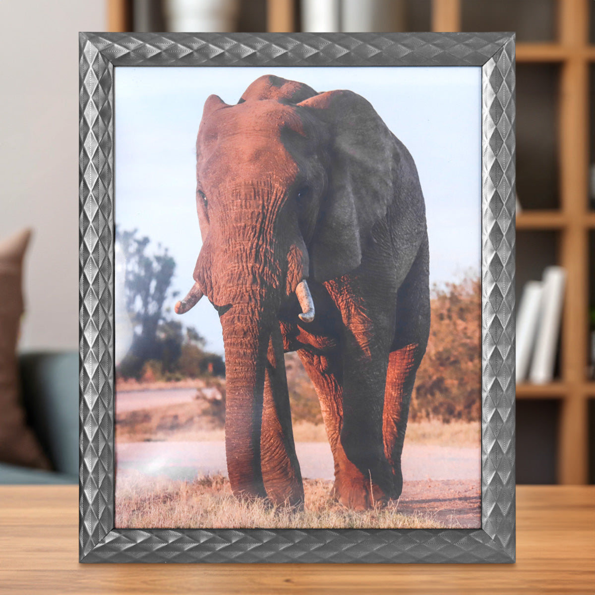 Portarretratos Elefante, 20x25cm