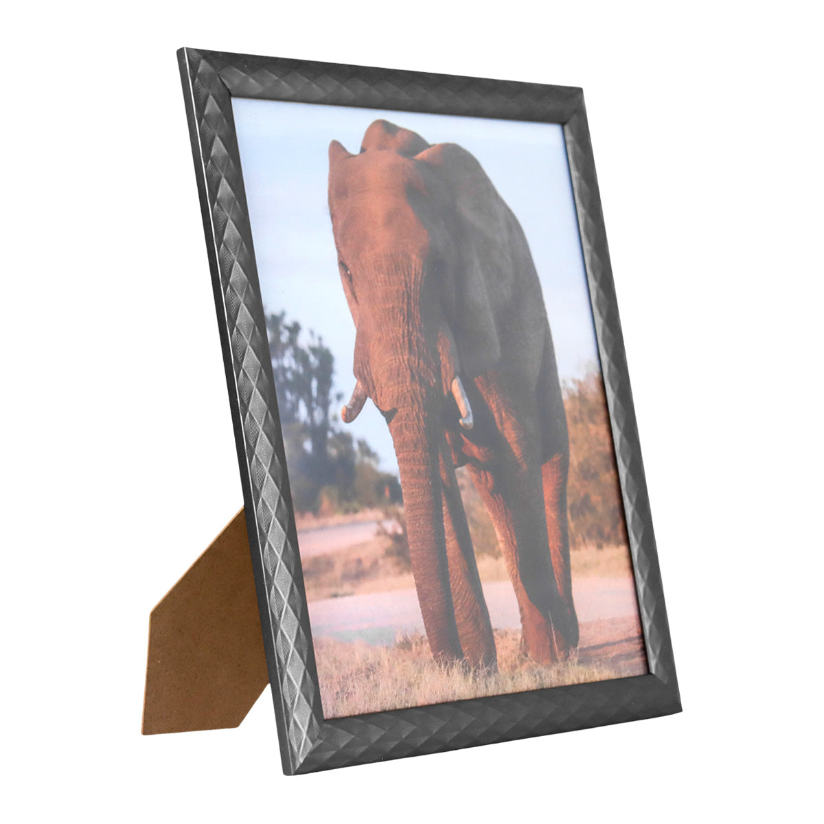 Portarretratos Elefante, 20x25cm