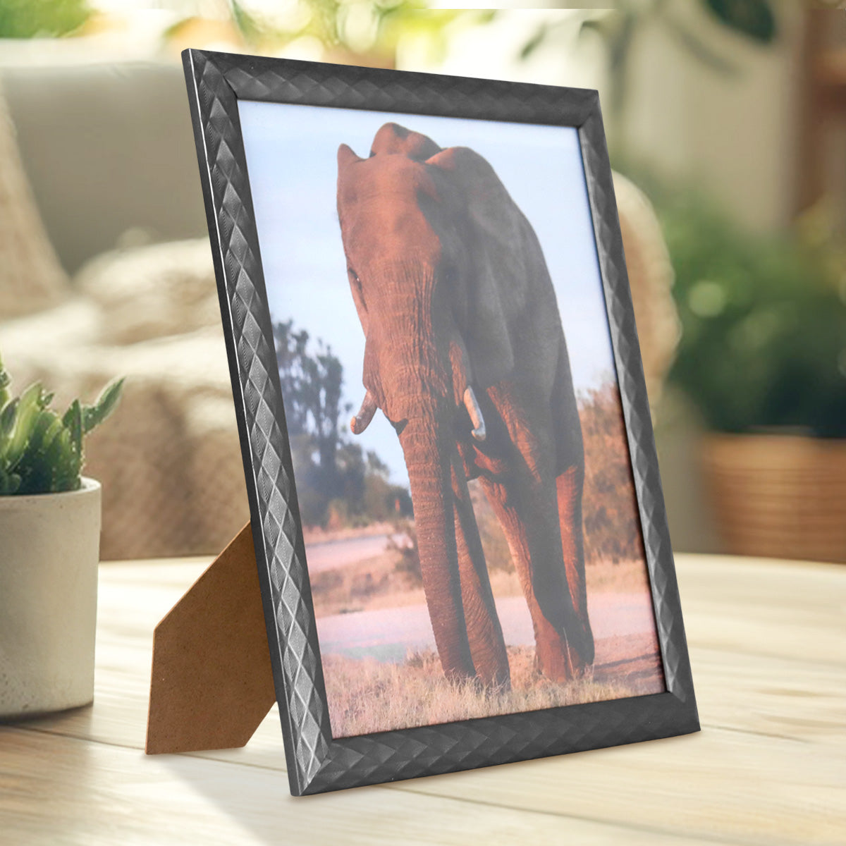 Portarretratos Elefante, 20x25cm