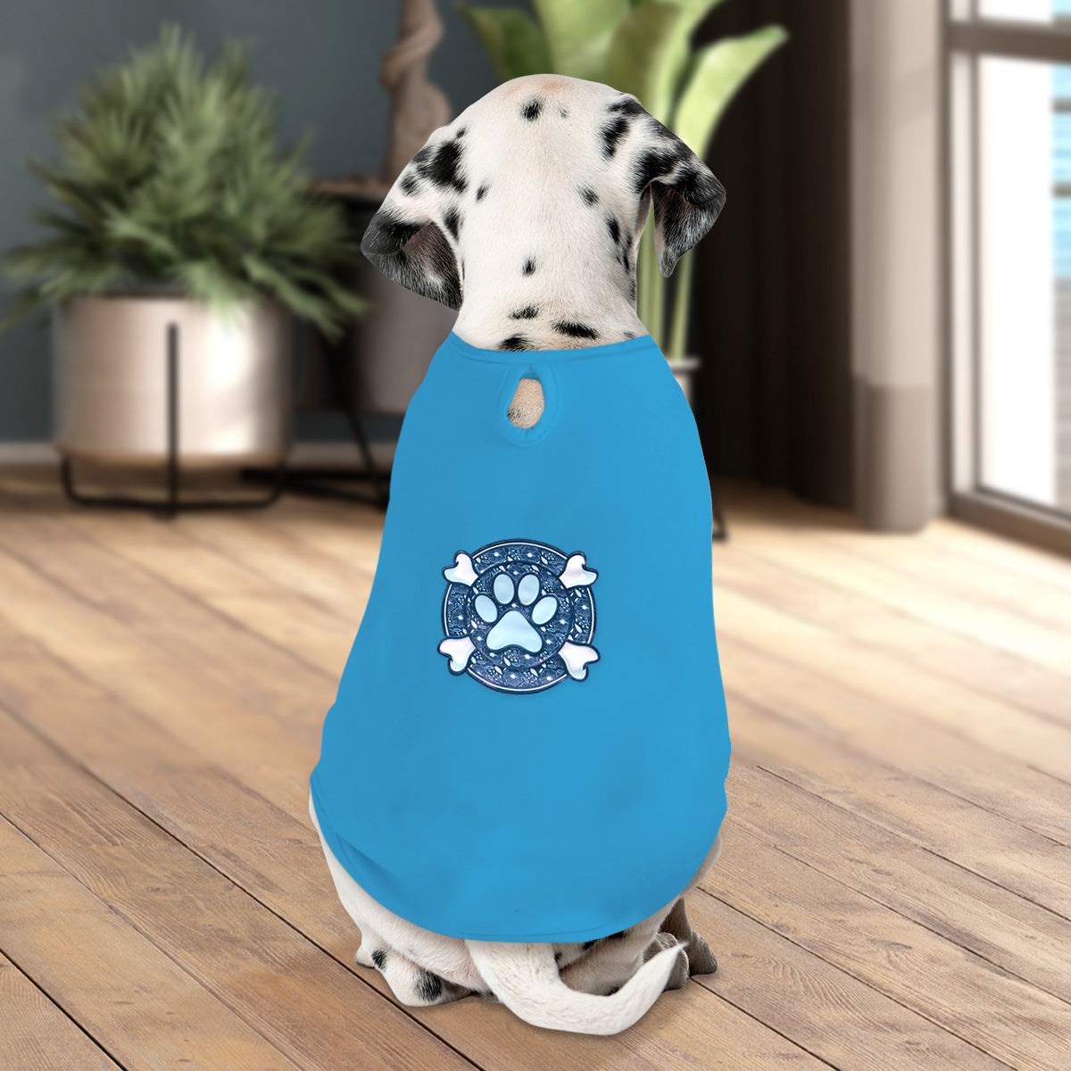 Ropa para Mascota, Color Azul