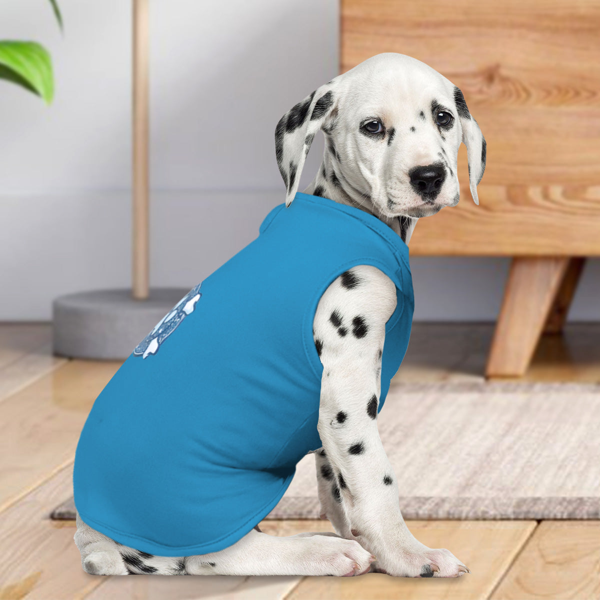 Ropa para Mascota, Color Azul