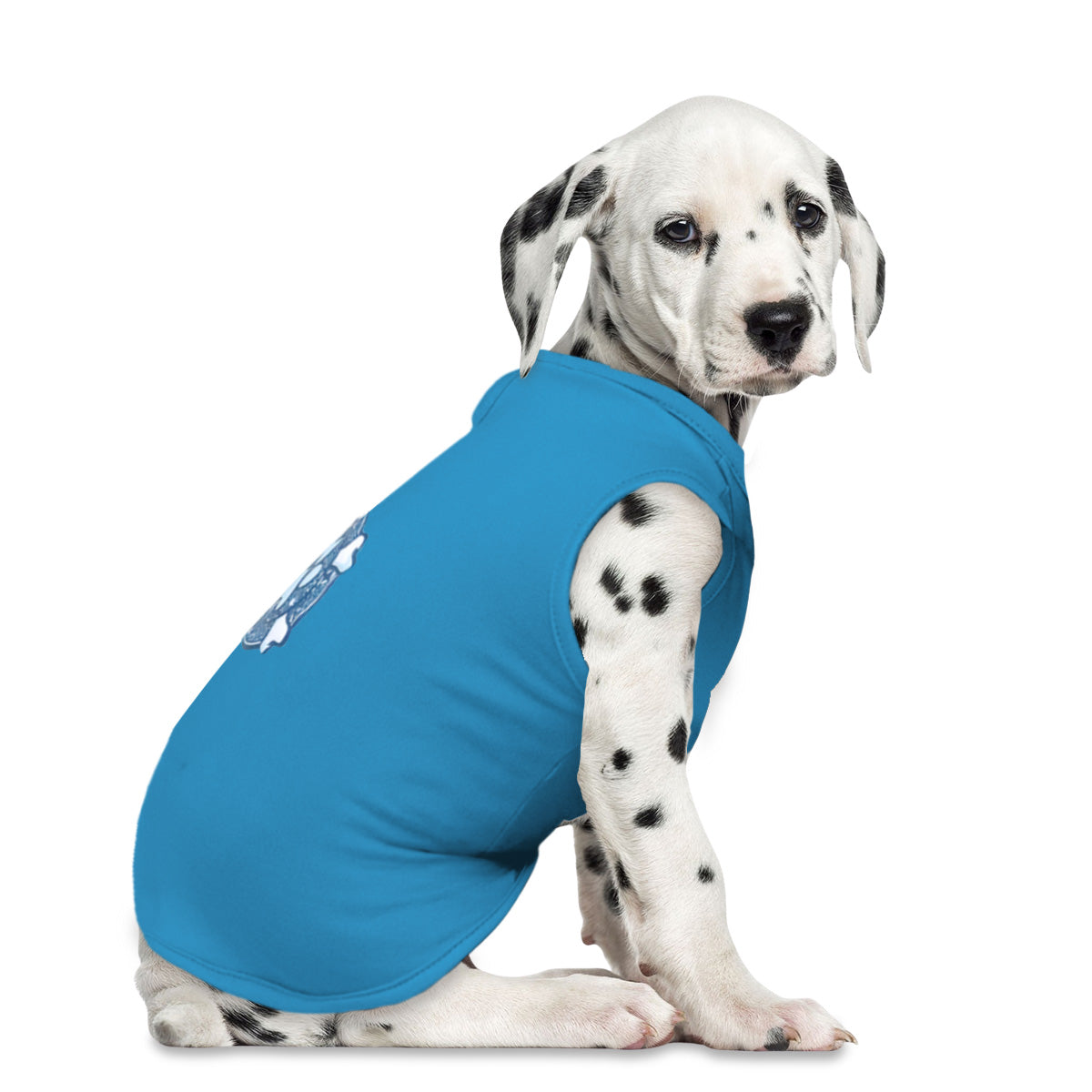 Ropa para Mascota, Color Azul