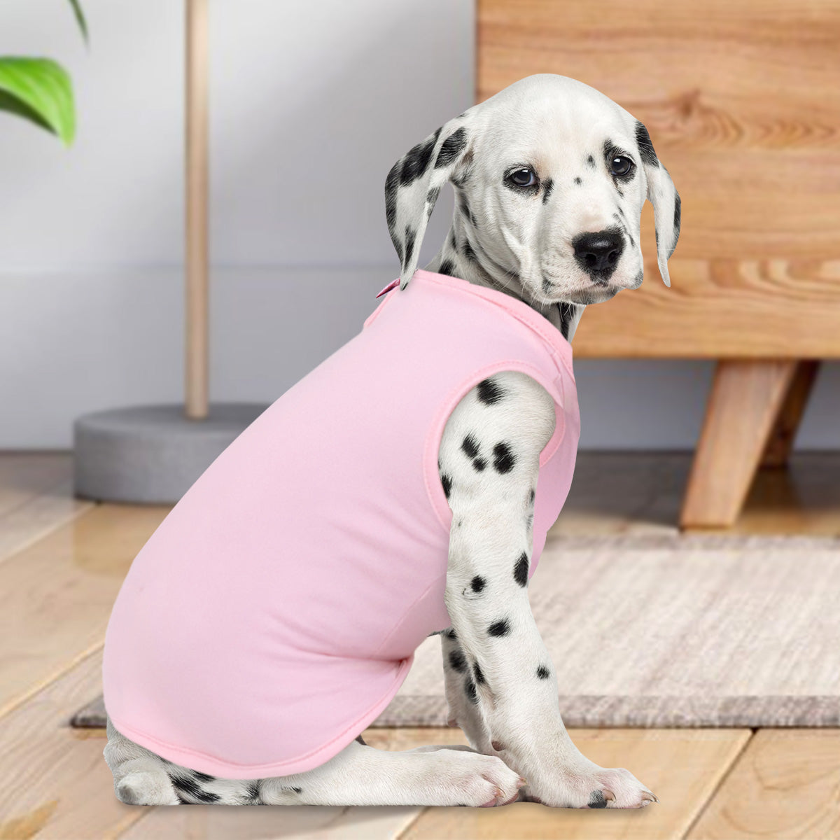 Ropa para Mascota, Color Rosa