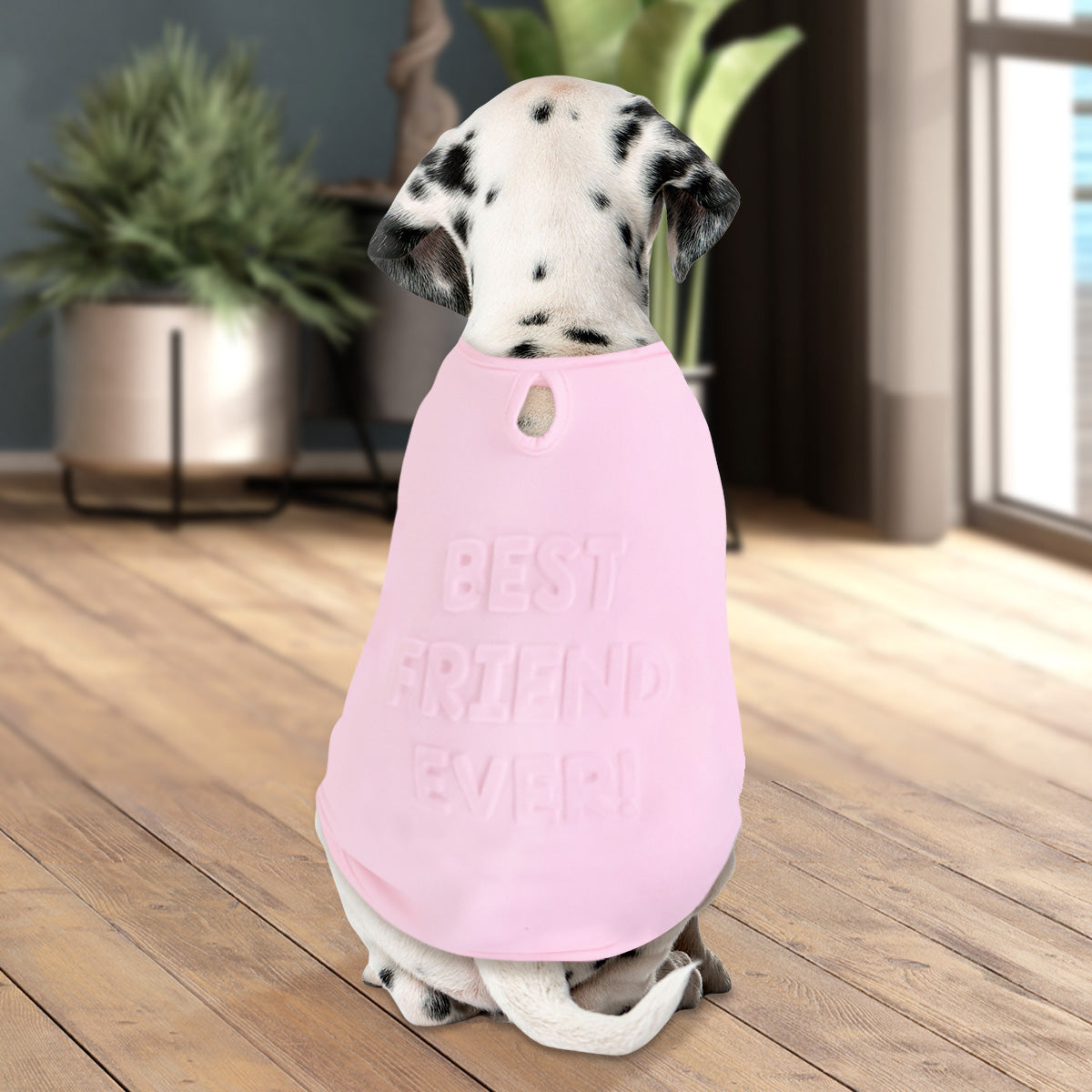 "Best Friend Ever!" Ropa para Mascota, Color Rosa