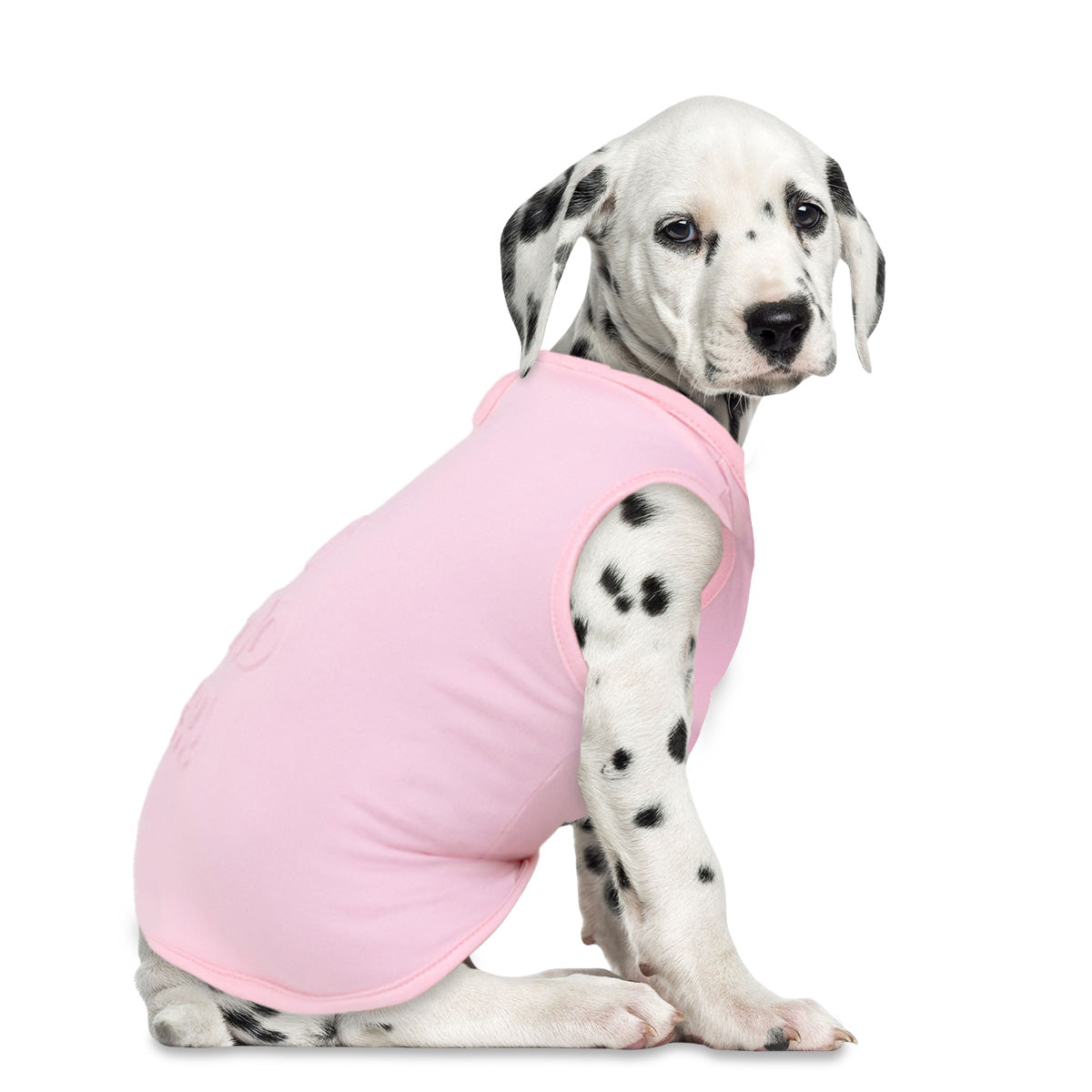 "Best Friend Ever!" Ropa para Mascota, Color Rosa