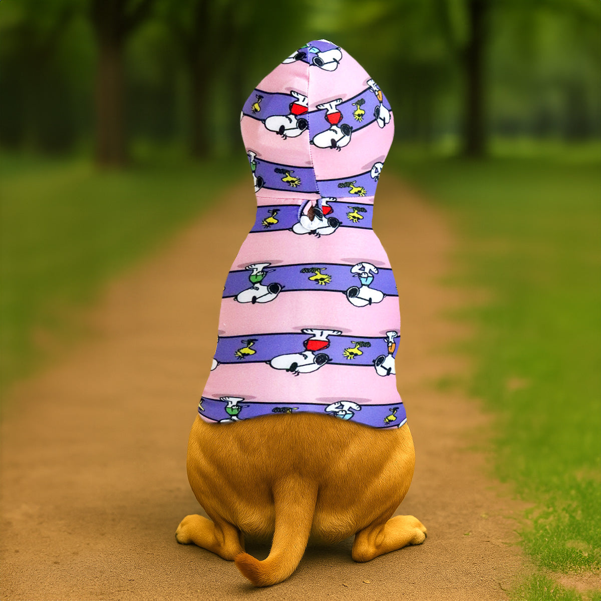 Snoopy y Emilio, Ropa para Mascota, Colores