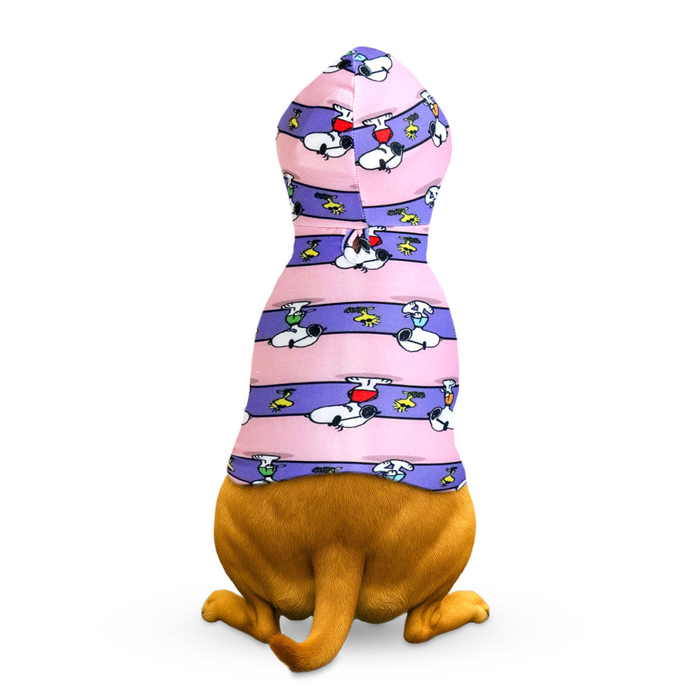 Snoopy y Emilio, Ropa para Mascota, Colores