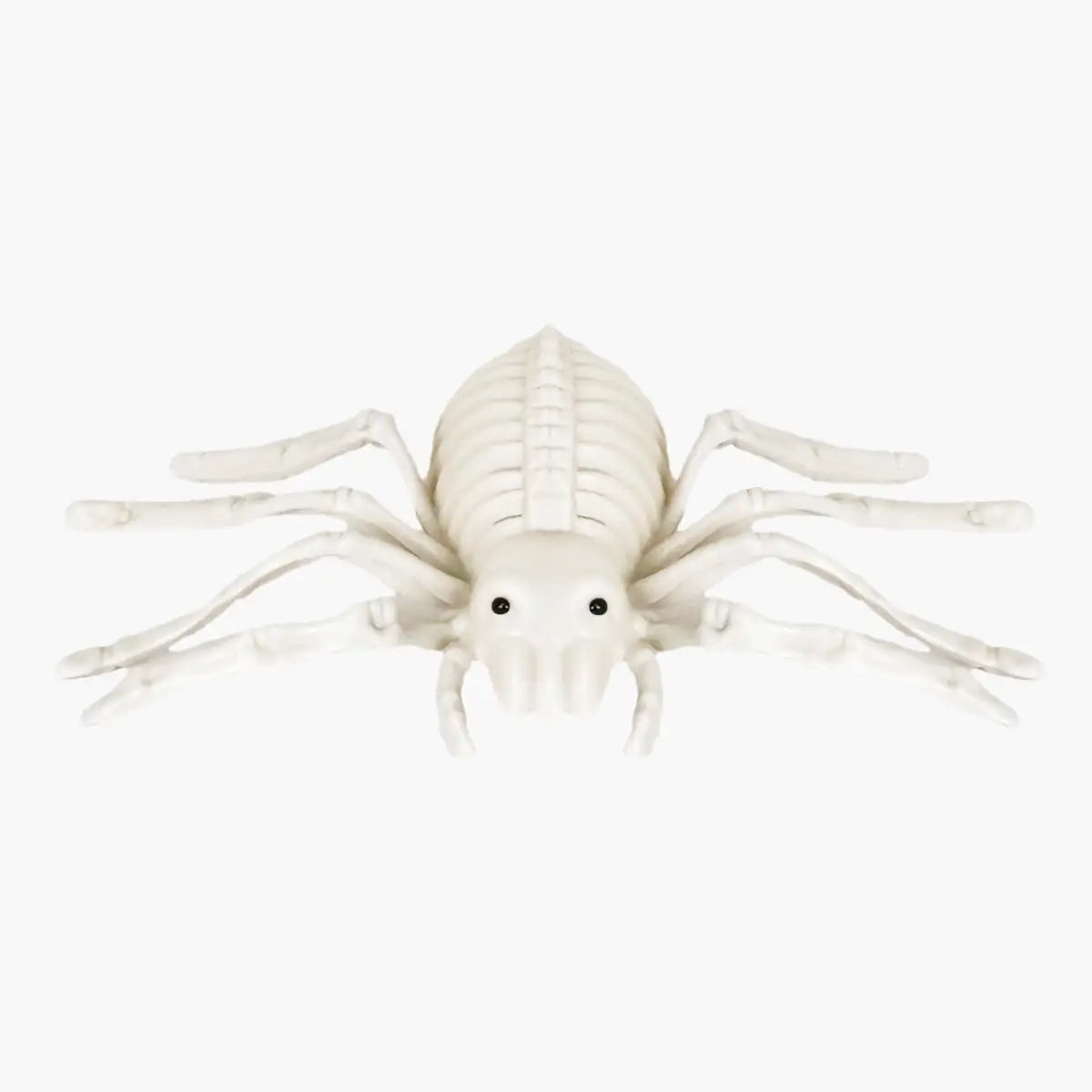 Araña, Esqueleto para Decoración de Halloween