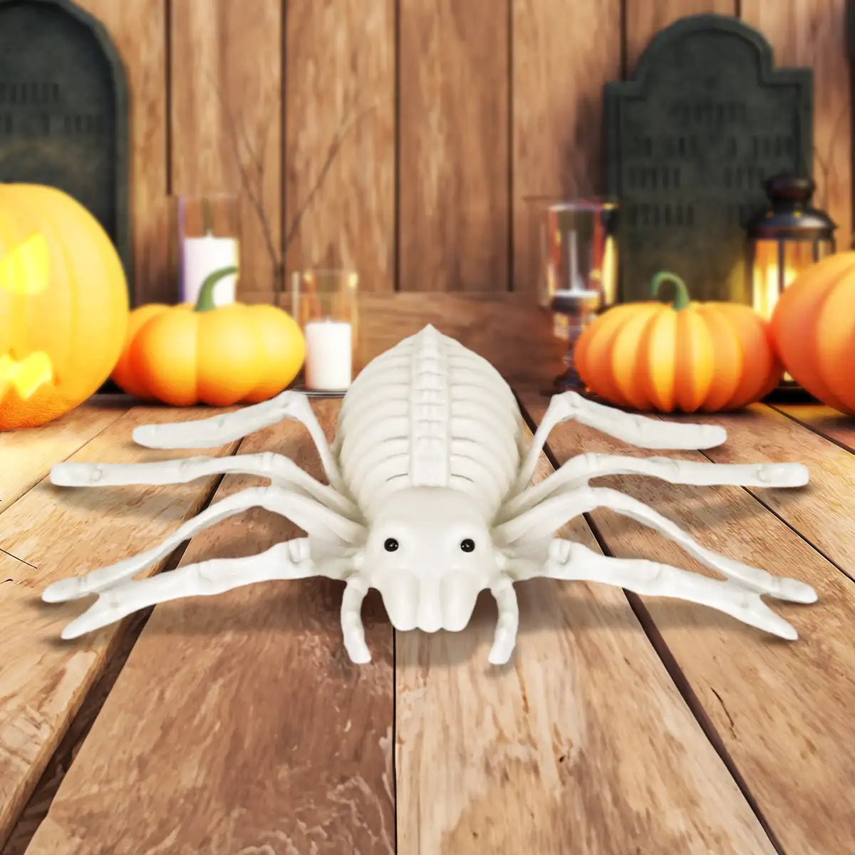 Araña, Esqueleto para Decoración de Halloween