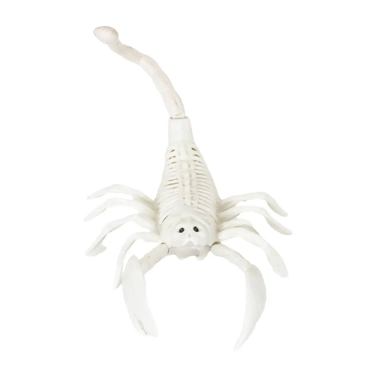 Escorpión, Esqueleto para Decoración de Halloween
