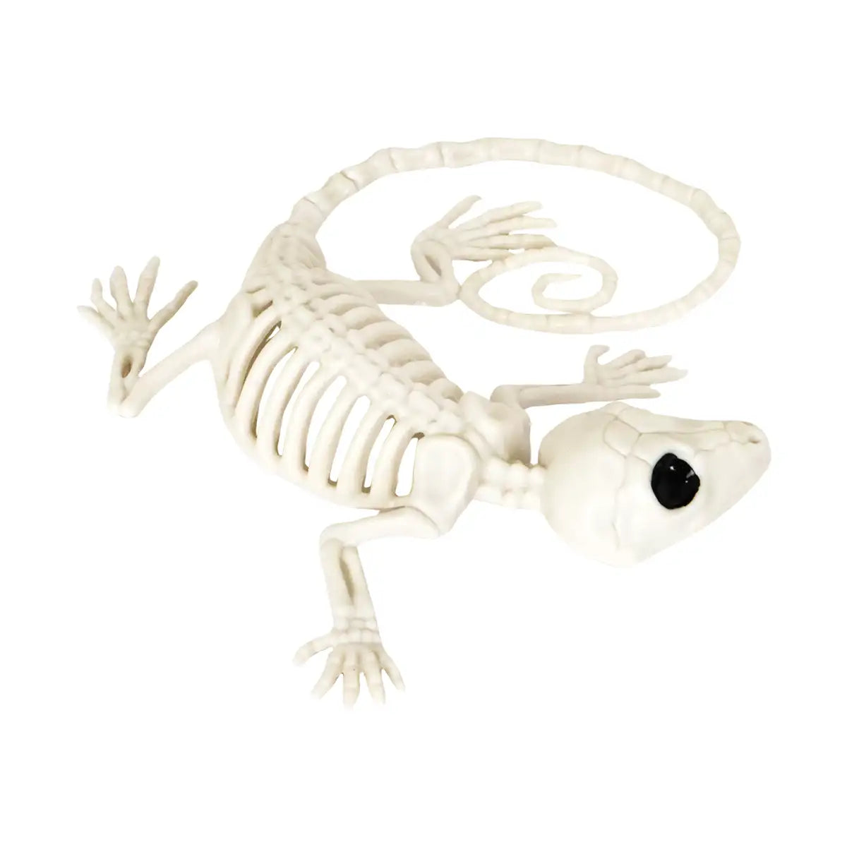 Reptil, Esqueleto para Decoración de Halloween