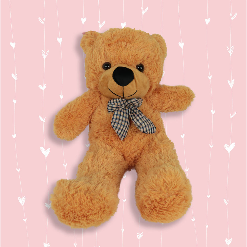 Osito de peluche mediano en color café 55cm