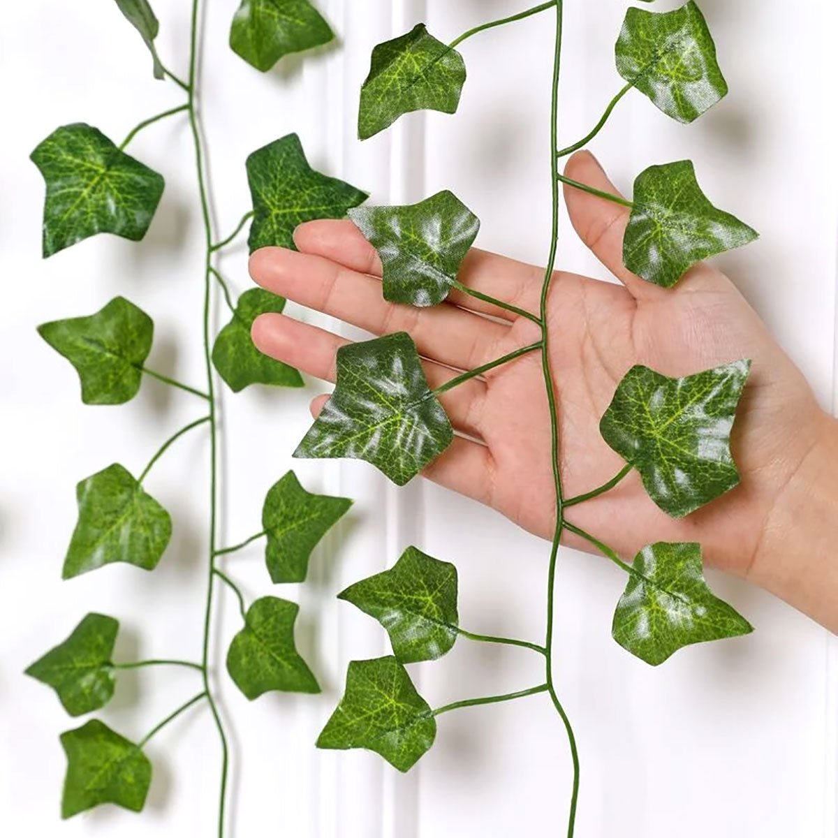 Enredadera Hoja de Lirio Verde 2.3m