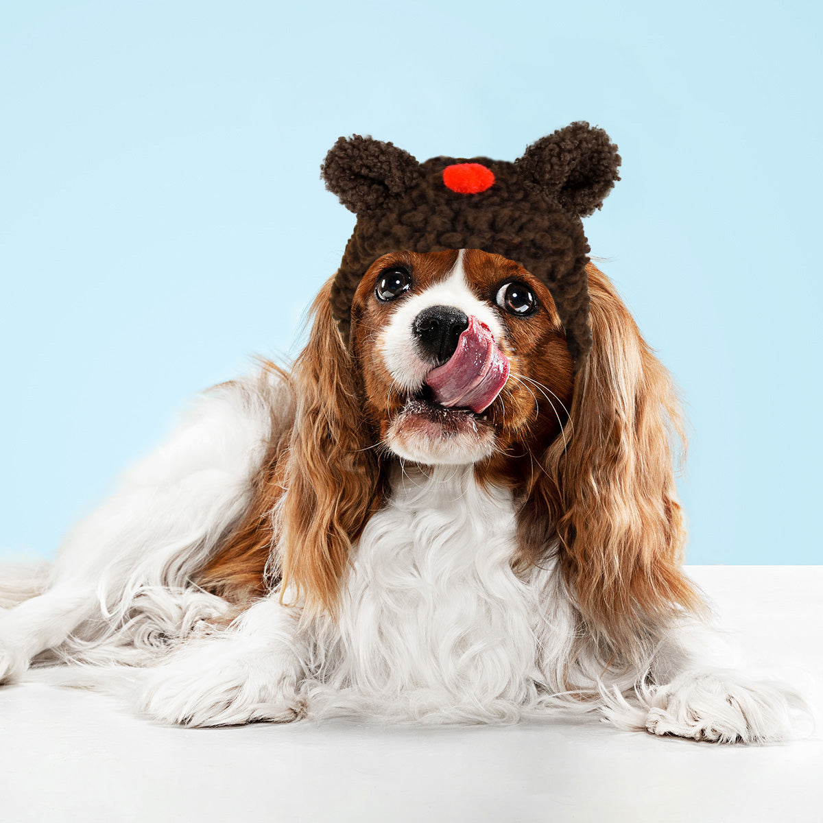 Gorrito Reno Navideño para Mascota