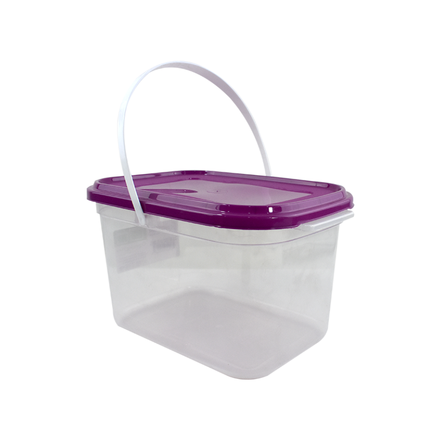 Caja Multiusos con Tapa 5L