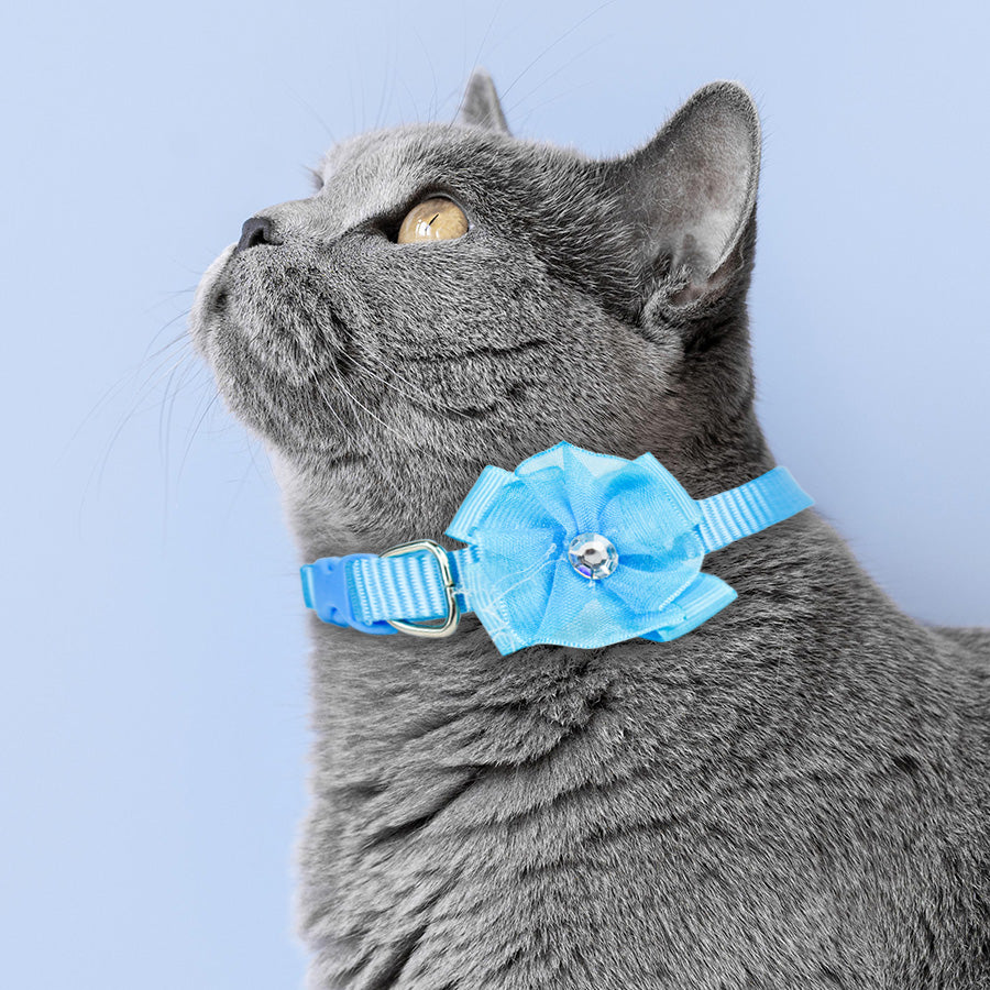 Collar Ajustable para Mascota con Flor Azul
