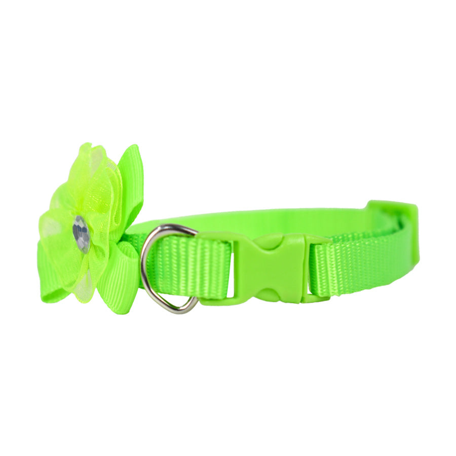 Collar para Gato color Verde