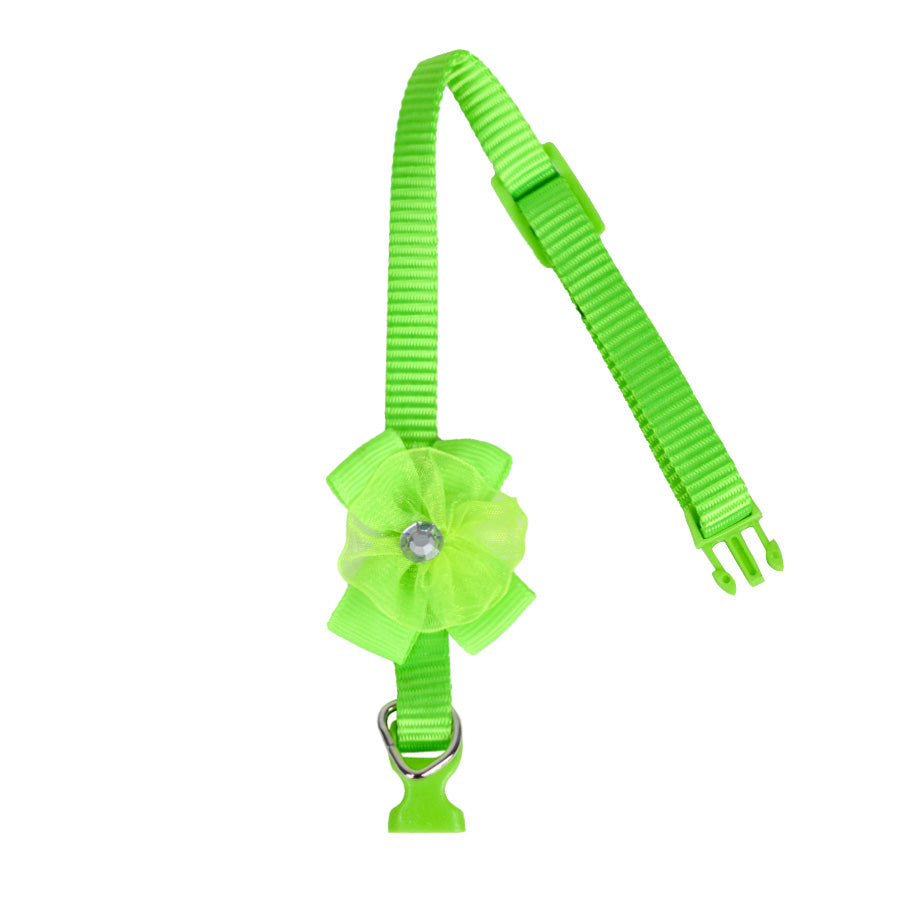 Collar para Gato color Verde