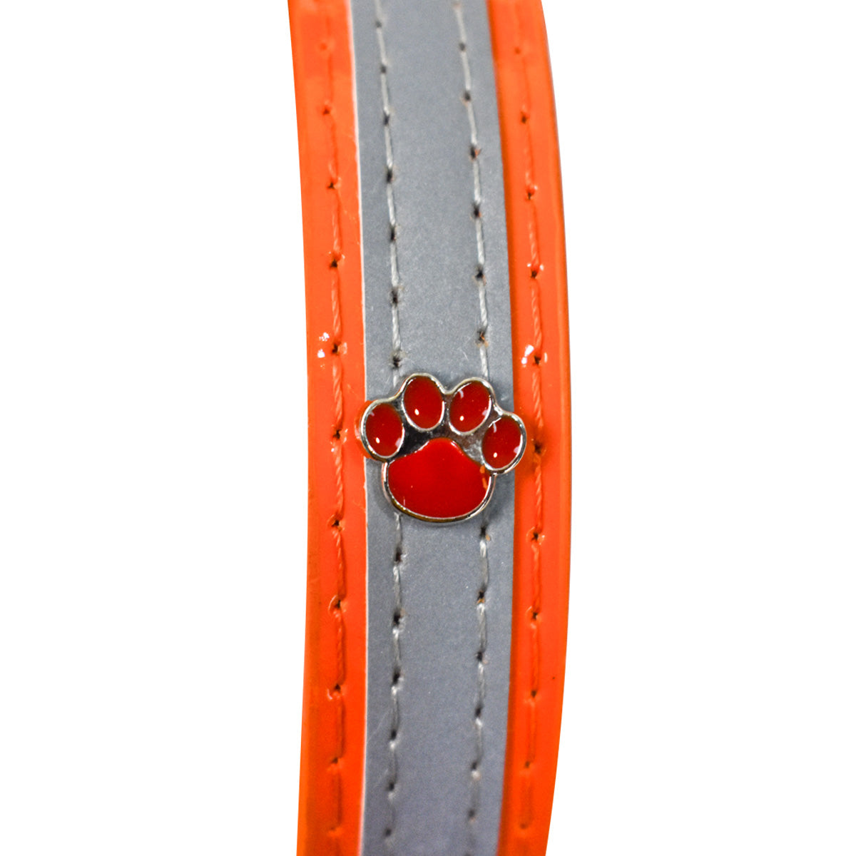 Collar para Mascota