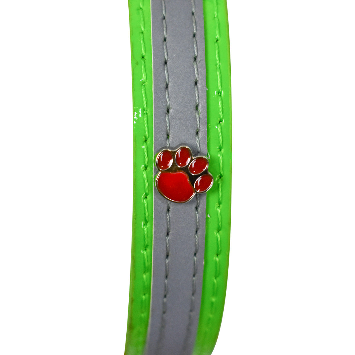 Collar para Mascota
