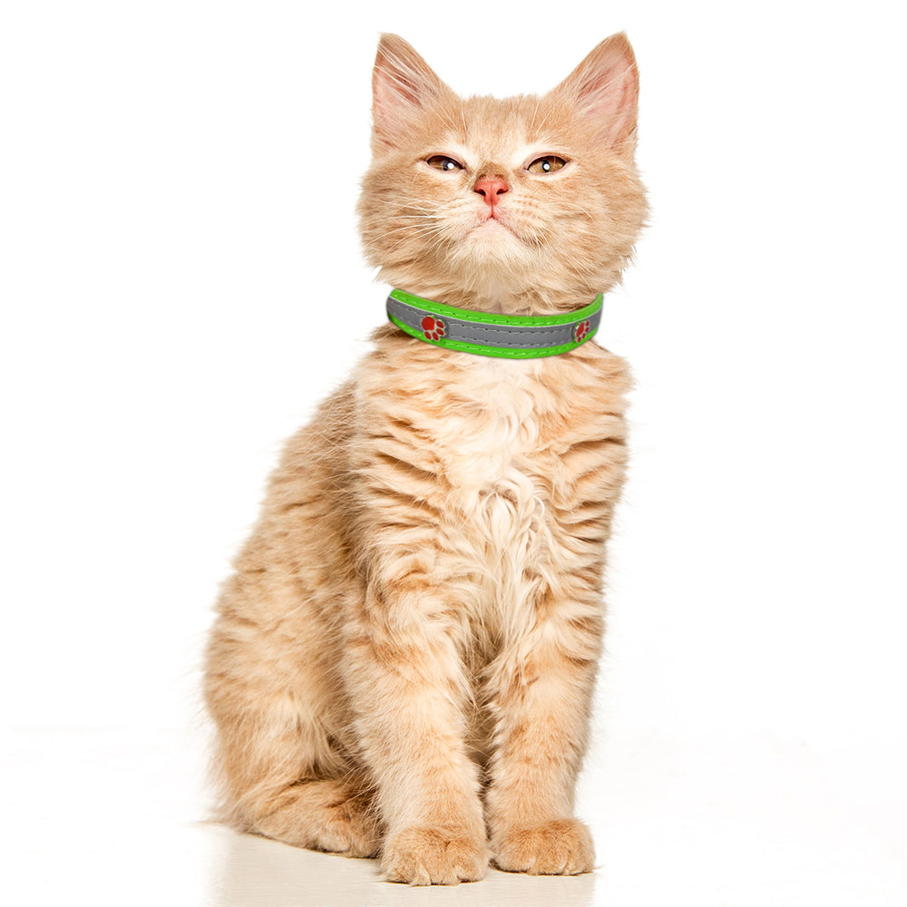 Collar para Mascota