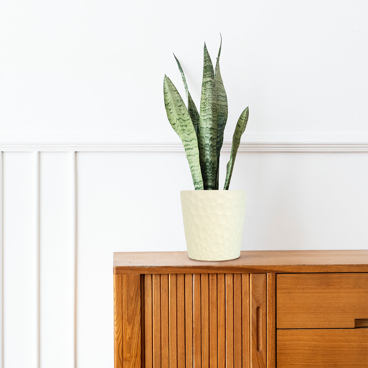 Maceta para Plantas Color Blanco