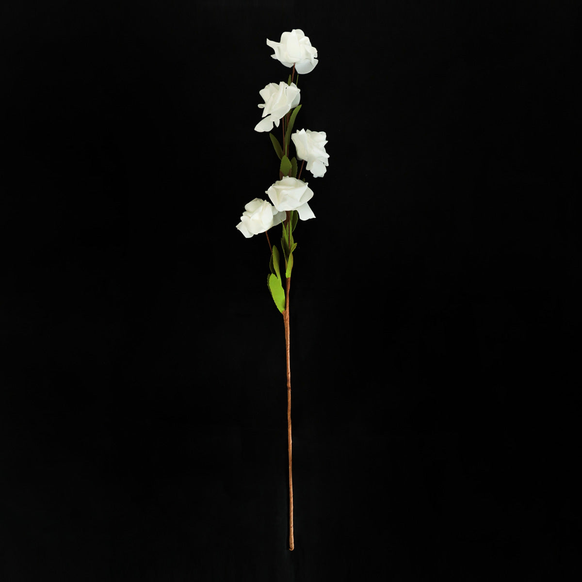 Ramo de Rosas 4 Cabezas color Blanco