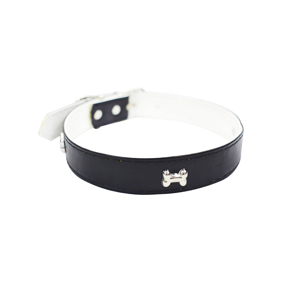 Collar para perro razas pequeñas 2.5cm color Negro