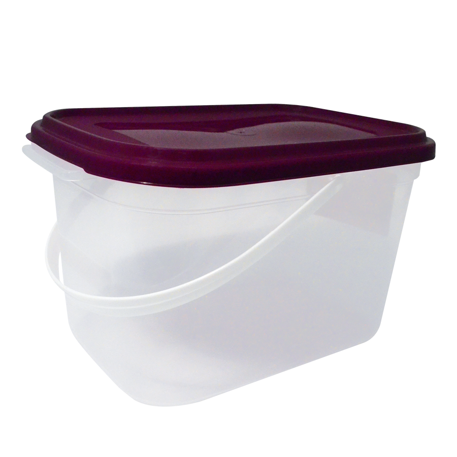 Caja Multiusos con Tapa 5L (4622439546929)