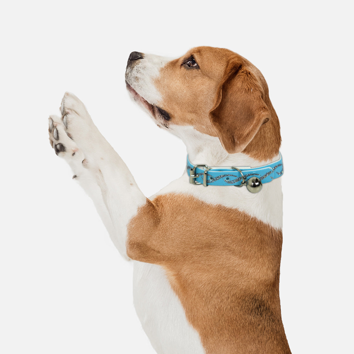 Collar para Mascota color Azul 30cm