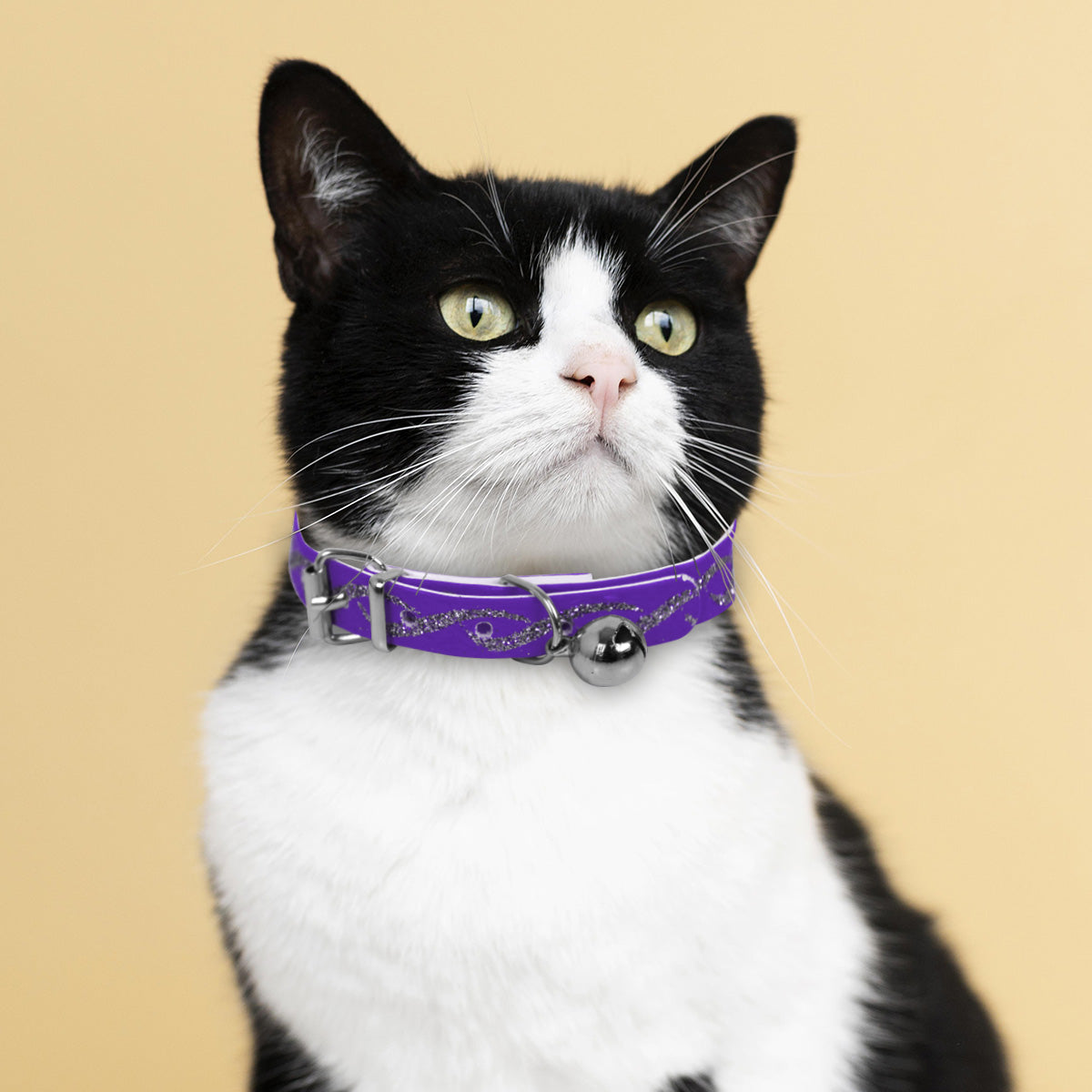 Collar para Mascota color Lila 30cm