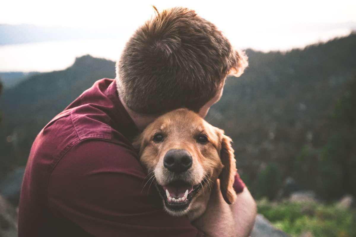 TODO sobre mascotas: cómo cuidar a tu mejor amigo