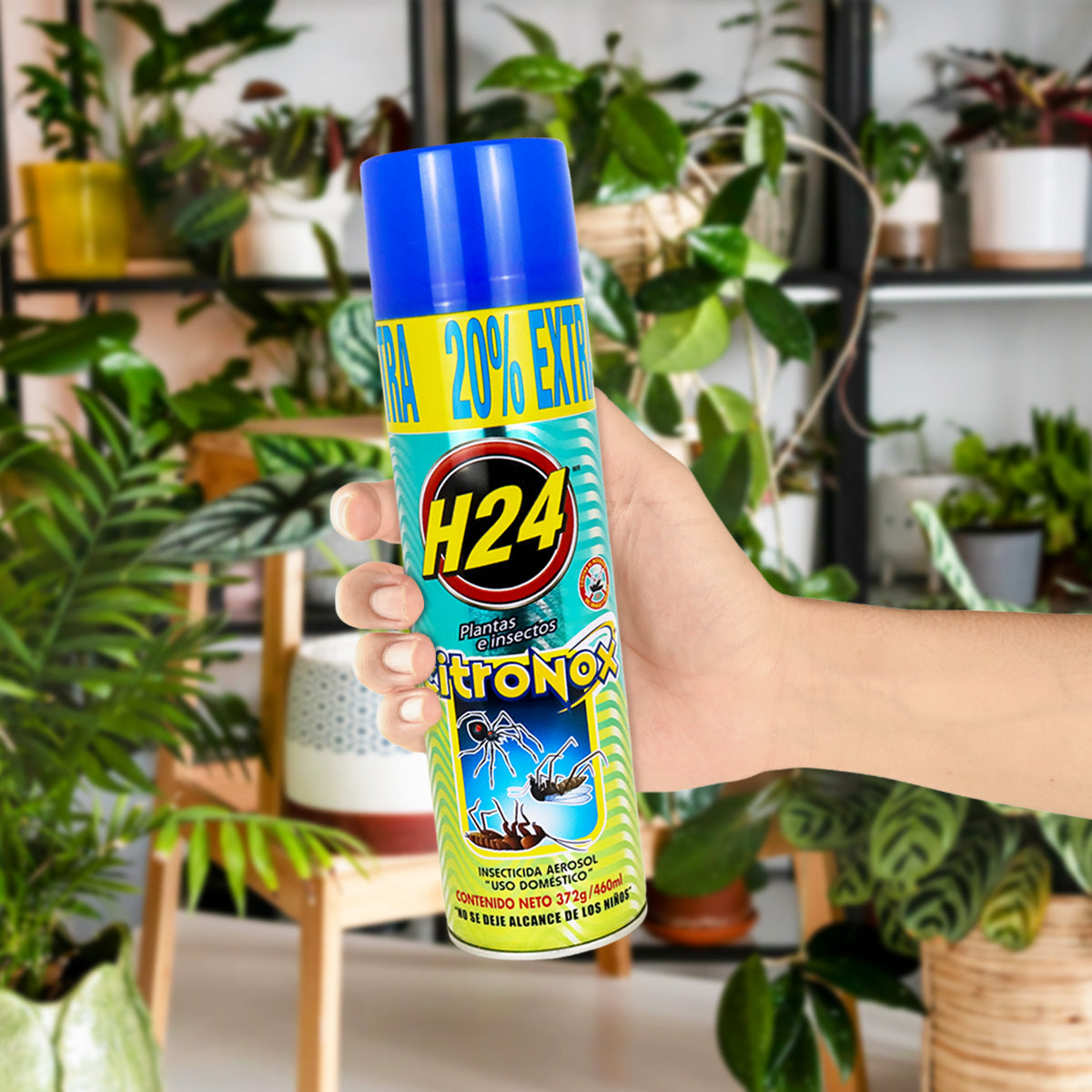 Insecticida en Aerosol H24 Citronox para Plantas e Insectos