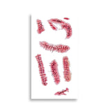 Stickers de Cicatrices para Disfraz