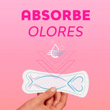 Paquete de 50 protectores diarios, Saba