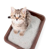 Arena para Gato Clean & Dry 2 Kg