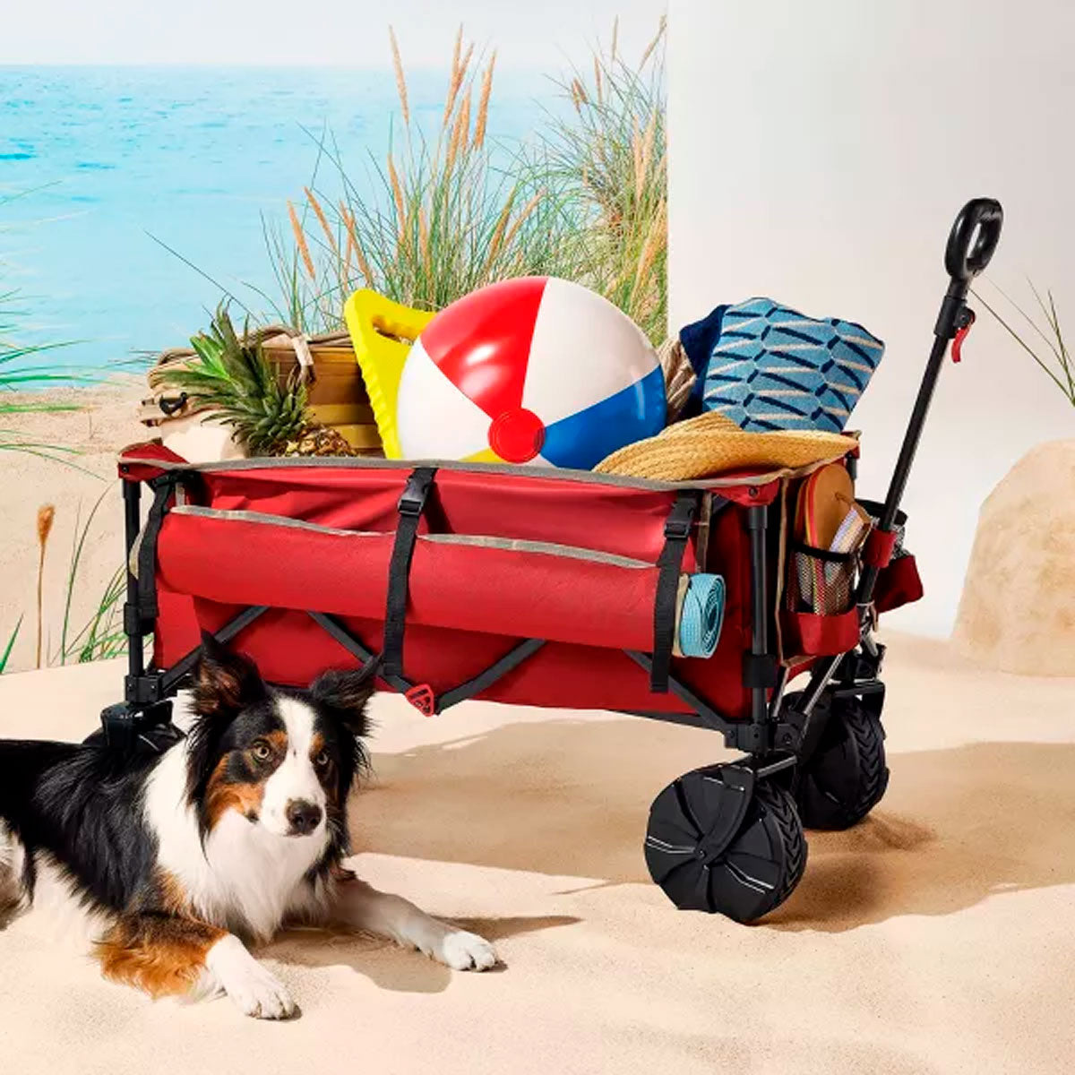 Carrito de Lujo color Rojo, Embark