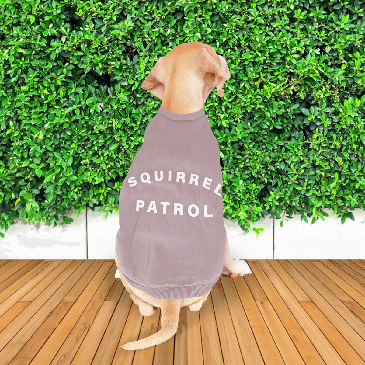 Sudadera para Mascotas con Frase 'Squirrel Patrol'