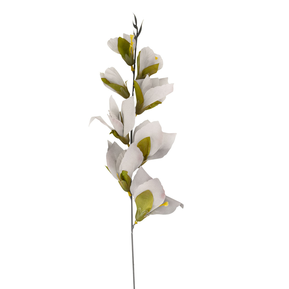 Gladiola Artificial color Blanco