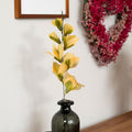 Product image thumbnail 1