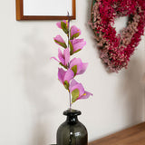 Gladiola Artificial color Lila